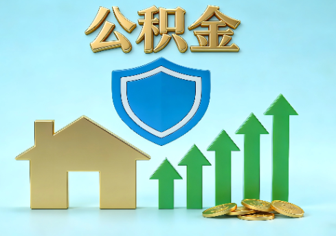 乐山当前住房公积金提取条件分类指南与政策趋势